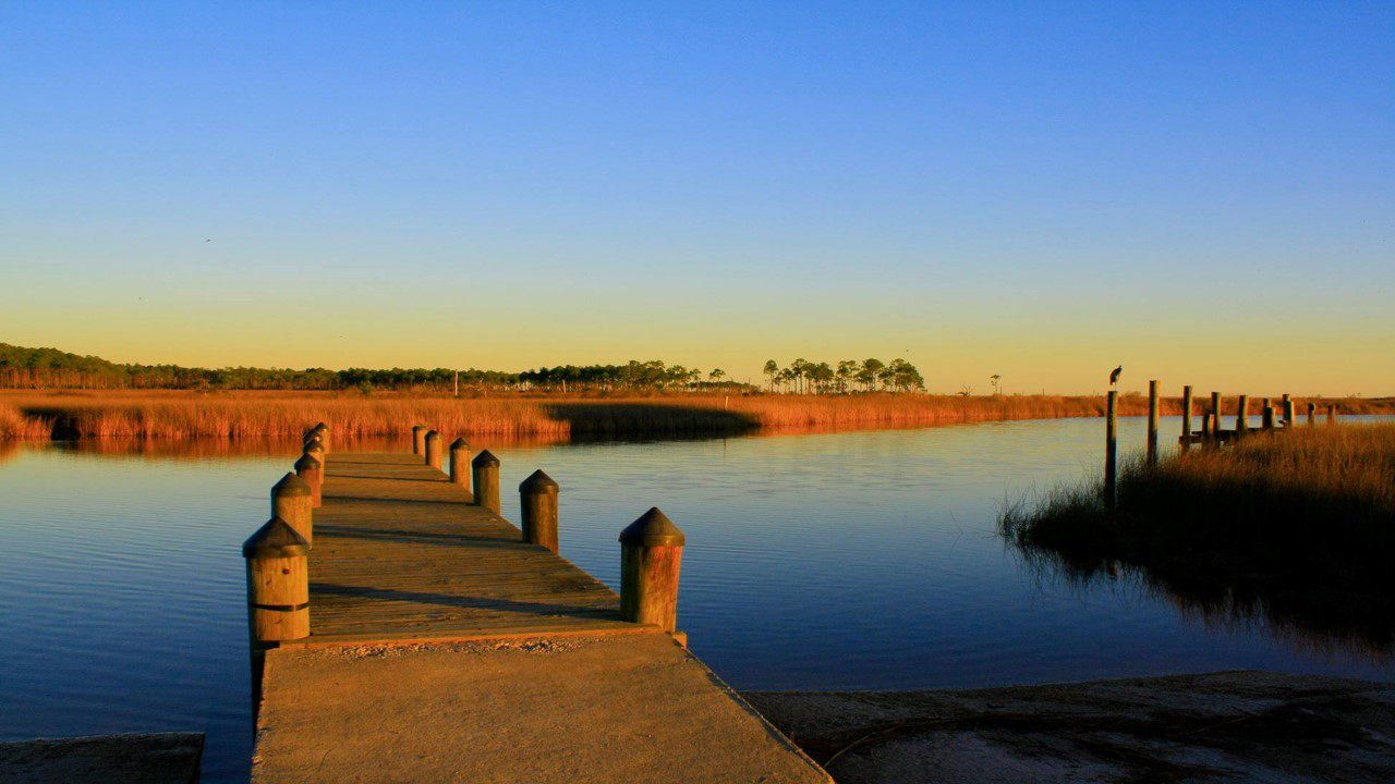 Louisiana Marsh