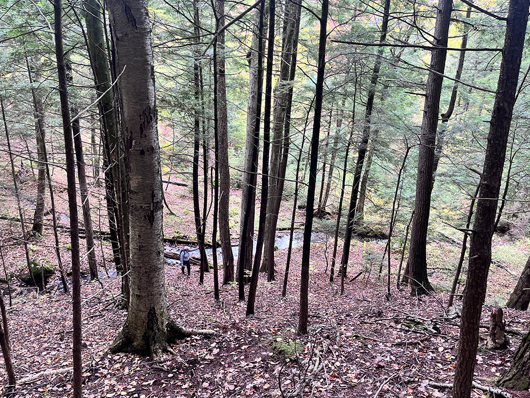 Jillian Olsen, Cherry Ridge Consulting LLC