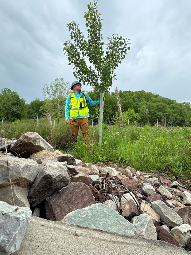 Andrew MacKenzie, Williams Forestry and Associates