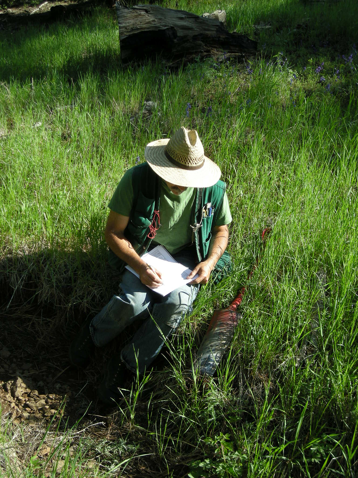 Peter Ryan, PWS Emeritus, Oregon Department of State Lands